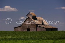 Brownlee area farm
July 2005